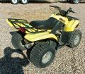 2002 SUZUKI OZARK 250 (8).jpg